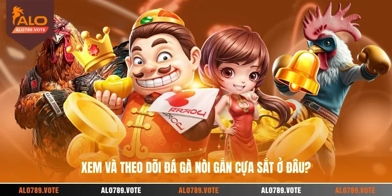 Xem và theo dõi đá gà nòi gắn cựa sắt ở đâu?